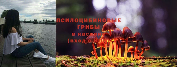 бутират Алзамай