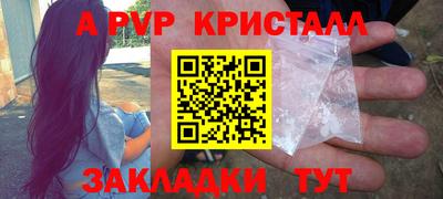 a pvp Кингисепп