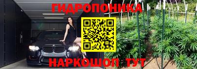 a pvp Кингисепп