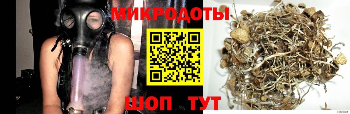 Красноярск  где найти наркотики  Вход с VPN  Галлюциногенные грибы ЛСД  Галлюциногенные грибы Magic Shrooms 